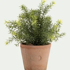 alinea Plante Artificielle*Asparagus artificiel H22,5cm - Vert
