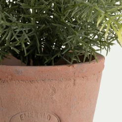 alinea Plante Artificielle*Asparagus artificiel H22,5cm - Vert