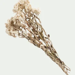 alinea Fleurs Séchées*Botte d'anaphalis séchée H55cm - Blanc