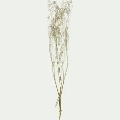 alinea Fleurs Séchées|Loisirs Créatifs*Botte de gypsophiles séchées 50cm - Blanc