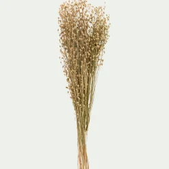 alinea Fleurs Séchées*Botte de Passerages séchées H55cm - Jaune