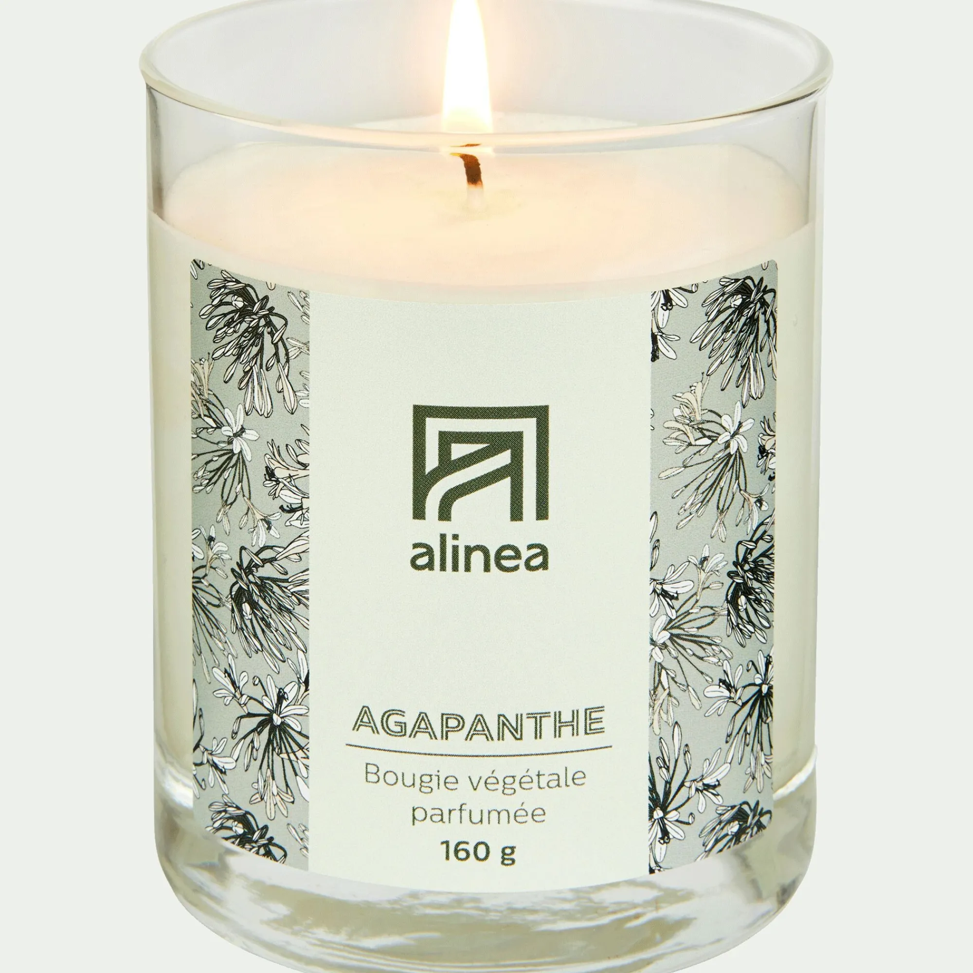 alinea Bougie*Bougie parfumée senteur Agapanthe 160g