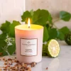 alinea Bougie*Bougie parfumée senteur Ambre Intense 180g