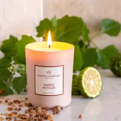 alinea Bougie*Bougie parfumée senteur Ambre Intense 180g