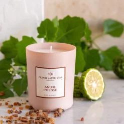 alinea Bougie*Bougie parfumée senteur Ambre Intense 180g