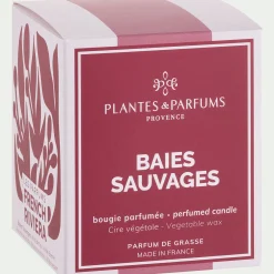 alinea Bougie*Bougie parfumée senteur baies sauvages 180g