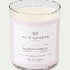 alinea Bougie*Bougie parfumée senteur Grenade Hibiscus 180g