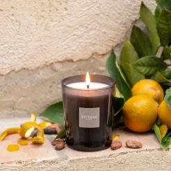 alinea Bougie*Bougie parfumée senteur iris cachemire 180g