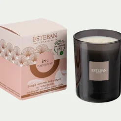 alinea Bougie*Bougie parfumée senteur iris cachemire 180g