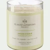 alinea Bougie*Bougie parfumée senteur Jardin d'Eden 180g