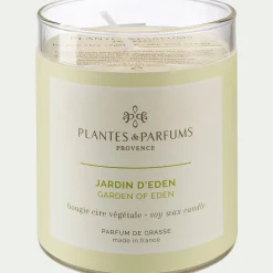 alinea Bougie*Bougie parfumée senteur Jardin d'Eden 180g