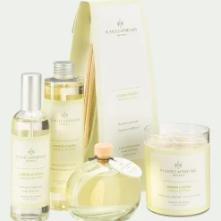 alinea Bougie*Bougie parfumée senteur Jardin d'Eden 180g