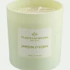 alinea Bougie*Bougie parfumée senteur Jardin d'Eden 180g