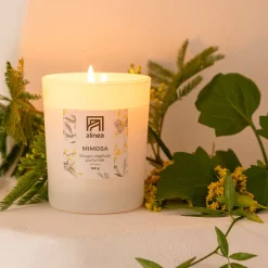 alinea Bougie*Bougie parfumée senteur mimosa 160g