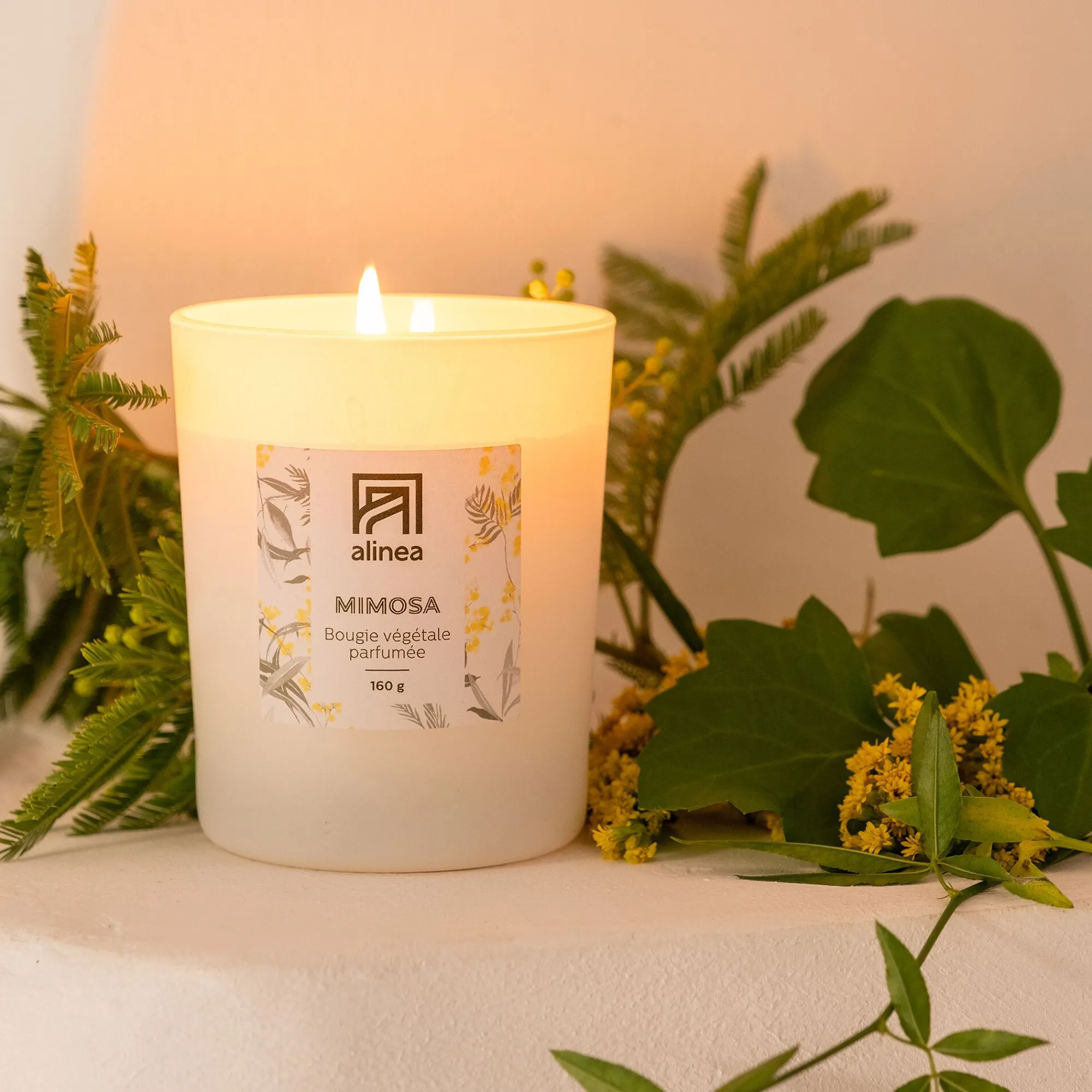 alinea Bougie*Bougie parfumée senteur mimosa 160g