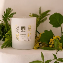 alinea Bougie*Bougie parfumée senteur mimosa 160g