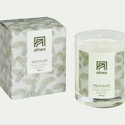 alinea Bougie*Bougie parfumée senteur Pin d'Alep 160g