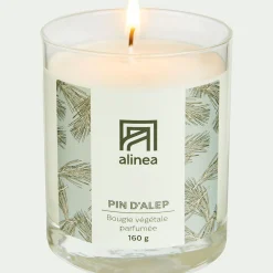 alinea Bougie*Bougie parfumée senteur Pin d'Alep 160g
