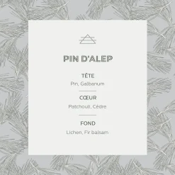 alinea Bougie*Bougie parfumée senteur Pin d'Alep 160g