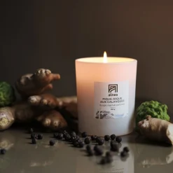 alinea Bougie*Bougie parfumée senteur pique nique Calanques 160g