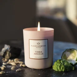 alinea Bougie*Bougie parfumée senteur Tonka absolue 180g
