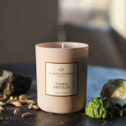 alinea Bougie*Bougie parfumée senteur Tonka absolue 180g
