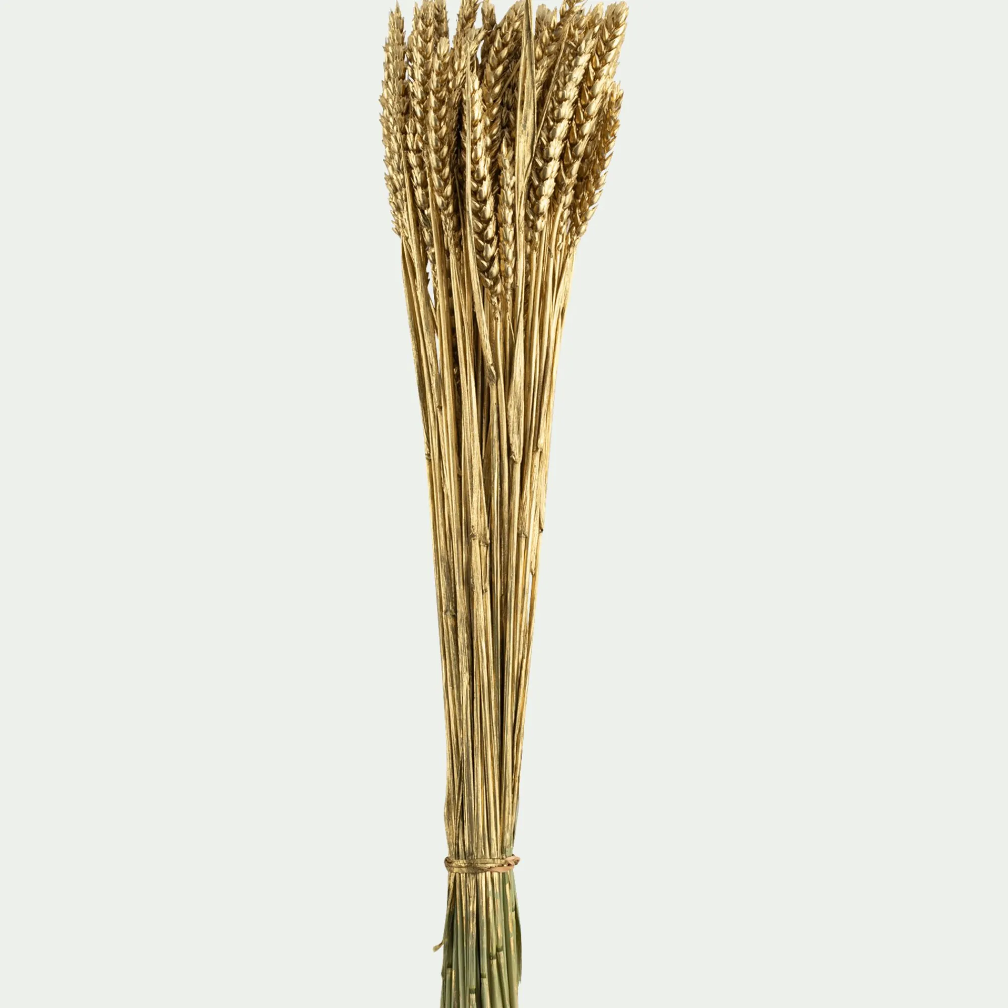alinea Fleurs Séchées|Décoration De La Table De Noël*Bouquet de blé séché H55cm - Doré