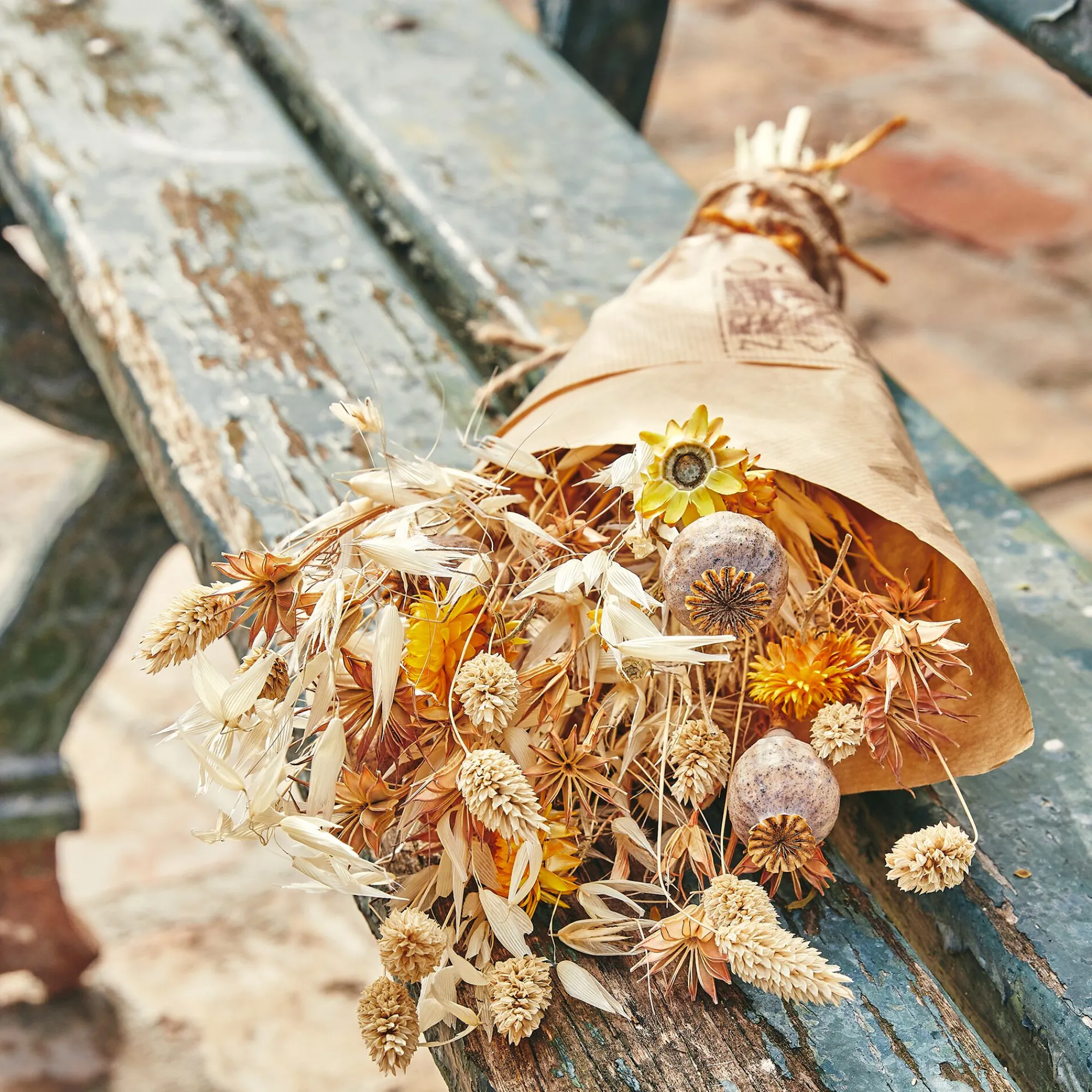 alinea Fleurs Séchées*Bouquet de fleurs séchées naturelles h46cm - Orange