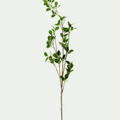 alinea Plante Artificielle*Branche artificielle de laurier - vert H70cm