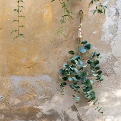 alinea Plante Artificielle*Branche d'eucalyptus artificielle H115cm - Vert