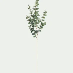alinea Plante Artificielle*Branche d'eucalyptus artificielle H115cm - Vert