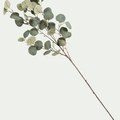 alinea Plante Artificielle*Branche d'eucalyptus artificielle H90cm - Vert