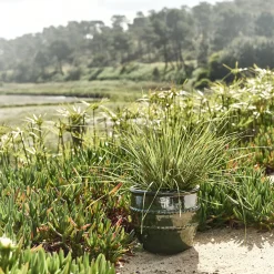 alinea Pot De Fleur*Cache-pot en terre cuite émaillée D28cm - Vert