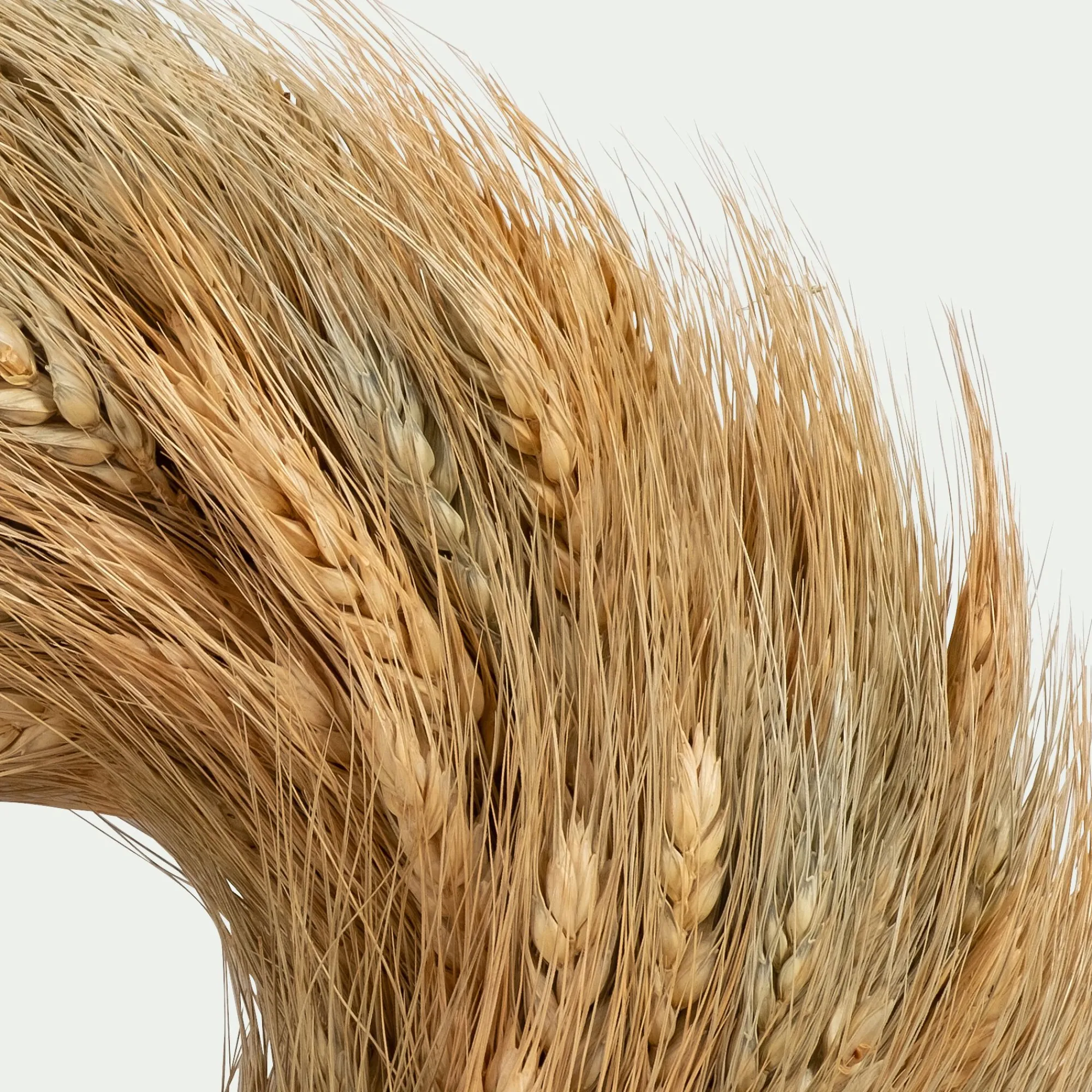 alinea Couronne De Noël*Couronne de Noël en épis de blé D27cm - Naturel