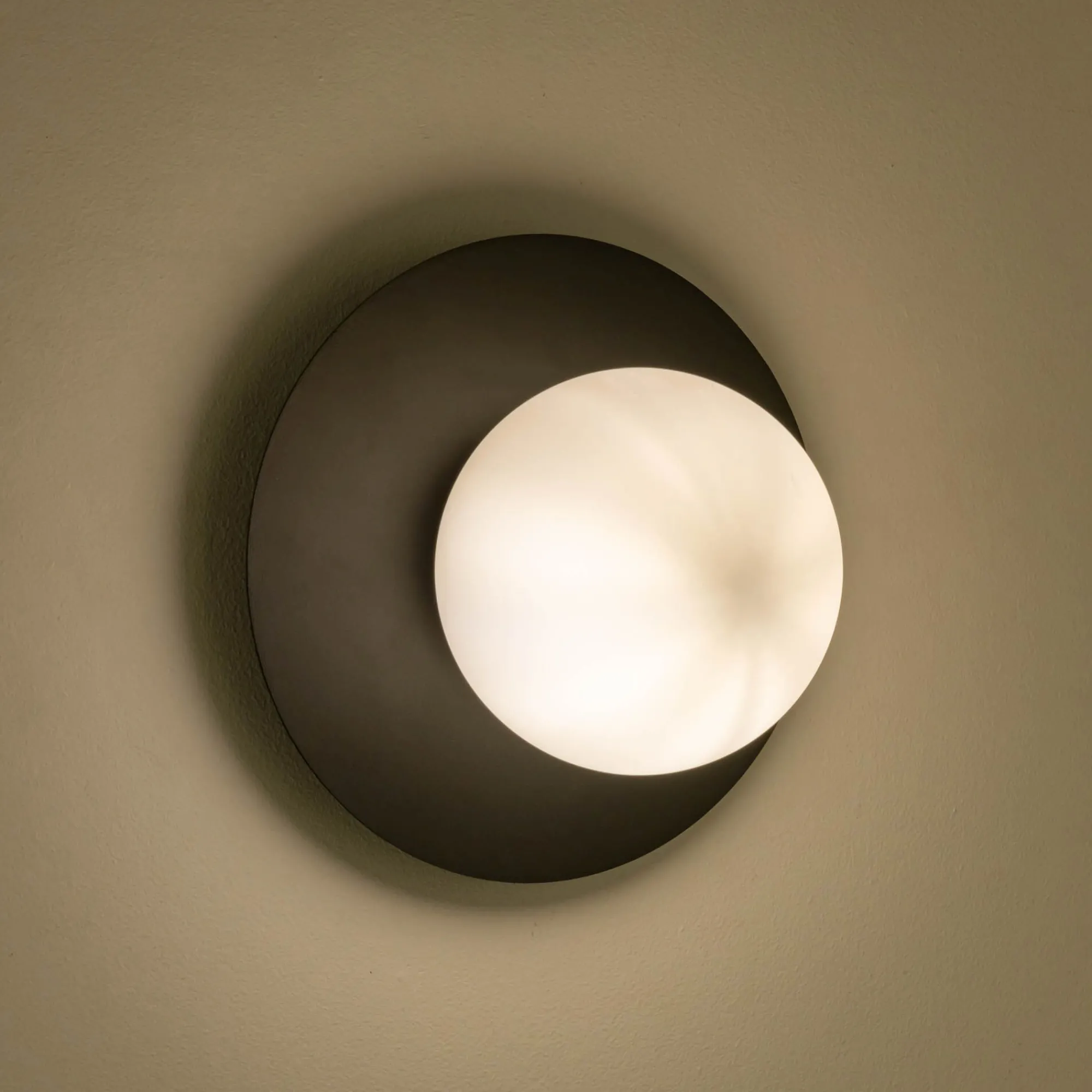 alinea Applique Murale*Plafonnier électrifié en acier D25cm - Noir