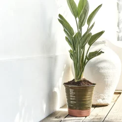 alinea Pot De Fleur*Pot bicolore en terre cuite D29cm - Vert