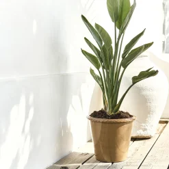 alinea Pot De Fleur*Pot en terre cuite D30cm - jaune
