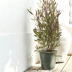 alinea Pot De Fleur*Pot en terre cuite D30cm - Vert