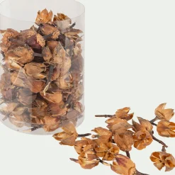 alinea Décoration De La Table De Noël|Vase Et Branchage De Noël*Pot-pourri de physalis D10xH16cm - Naturel