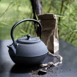 alinea Vaisselle Petit Déjeuner|Cafetière Et Théière*Théière en fonte - 1,20L Noir